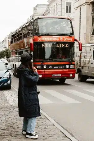 Relevancia en el diseño sostenible y la planificación urbana