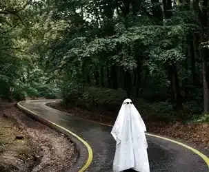 Características distintivas