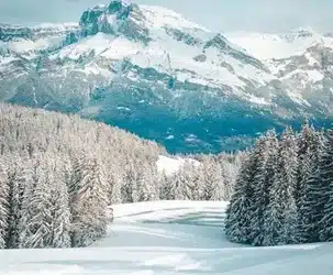 Iniciativas de conservación