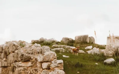 Paso 2: Destaca las cualidades distintivas