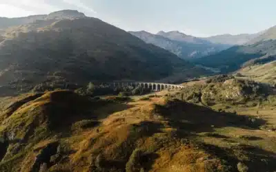 Apodos relacionados con intereses y aspiraciones