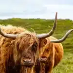 Increíbles y divertidos apodos que norma te encantará tener