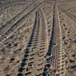 Izan Apodo: El Alias que Marca la Diferencia